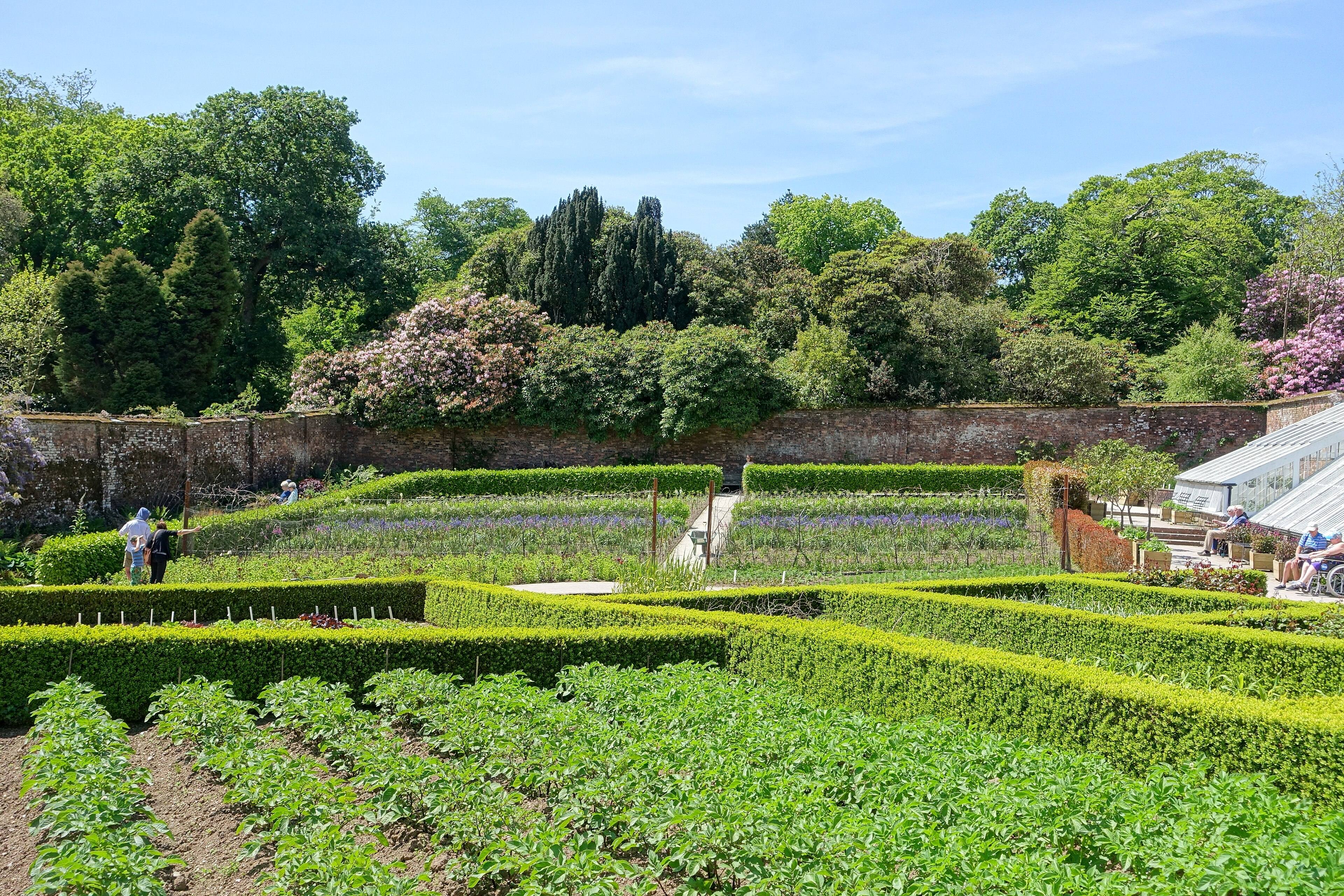 The Lost Gardens of Heligan — the restored Victorian walled garden in full bloom.