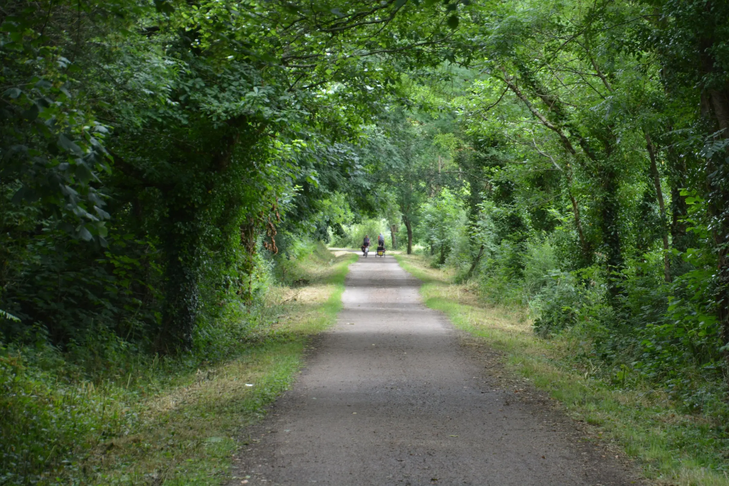The Camel Trail alongside the Camel Estuary between Padstow and Wadebridge.