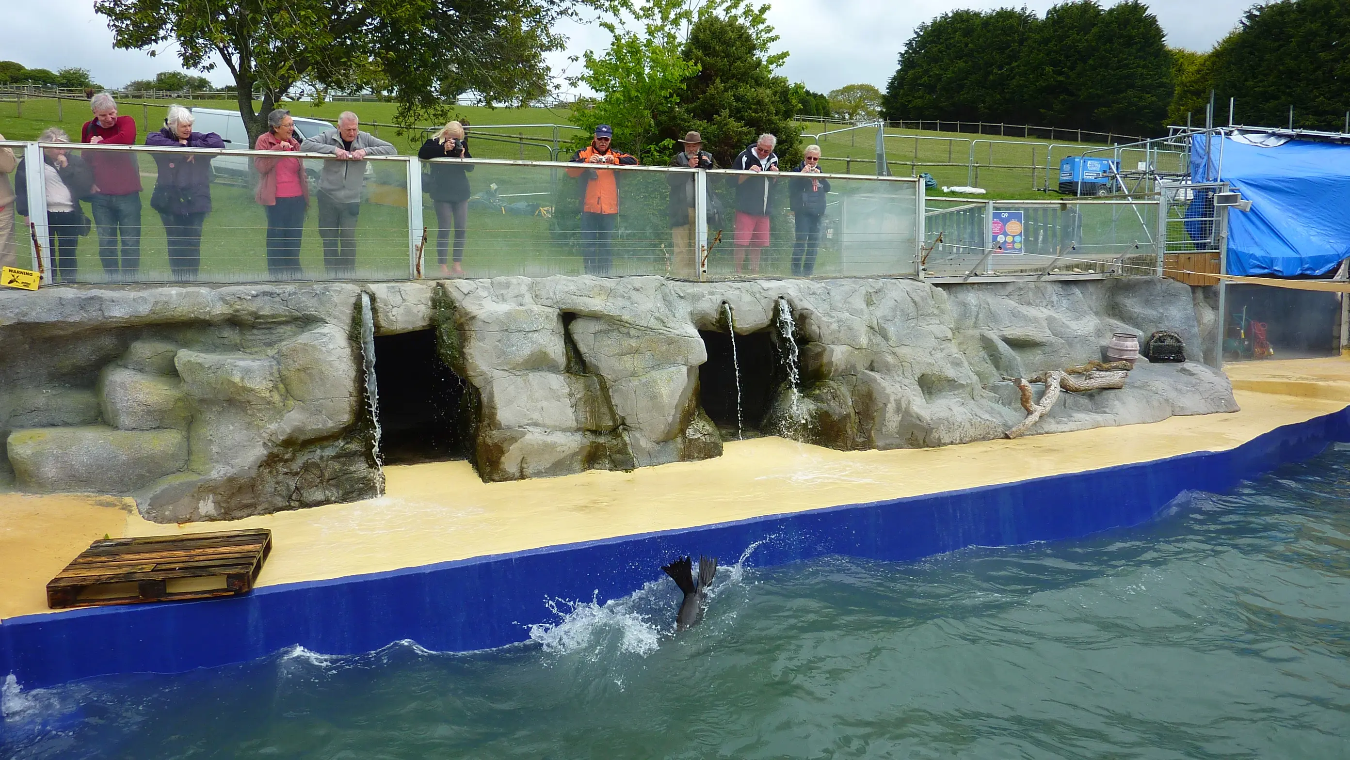 The Cornish Seal Sanctuary at Gweek — seal enclosure beside the Helford River.